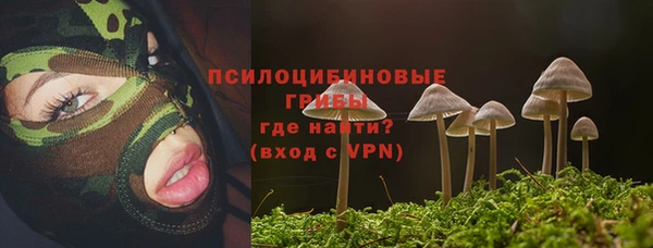 ешки Красноперекопск