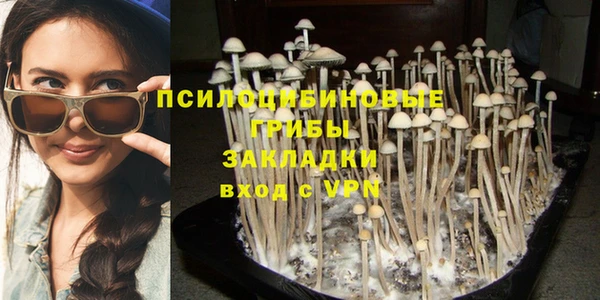 прущая мука Корсаков