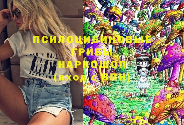 соль ск Коряжма