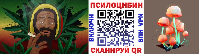 Псилоцибиновые грибы MAGIC MUSHROOMS  дарнет шоп  Тулун 