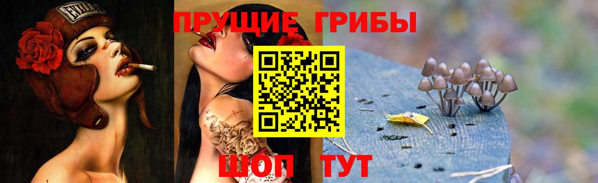 Тулун  Псилоцибиновые грибы мухоморы  Вход с VPN 